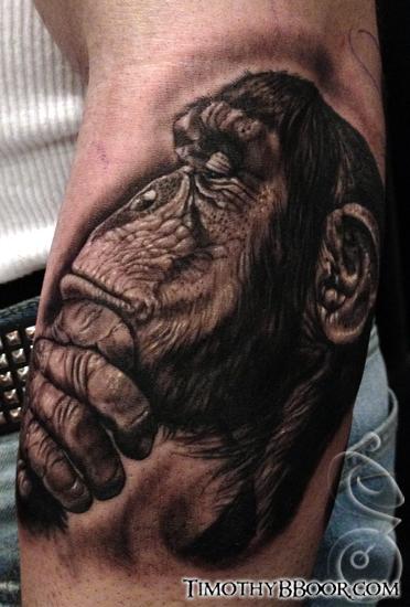 Tattoos - Chimp - 65648